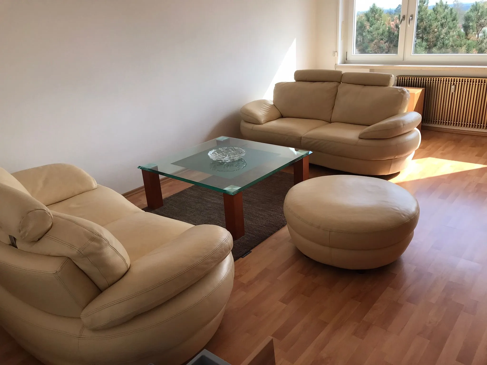 Helles Wohnzimmer mit Ledersesseln